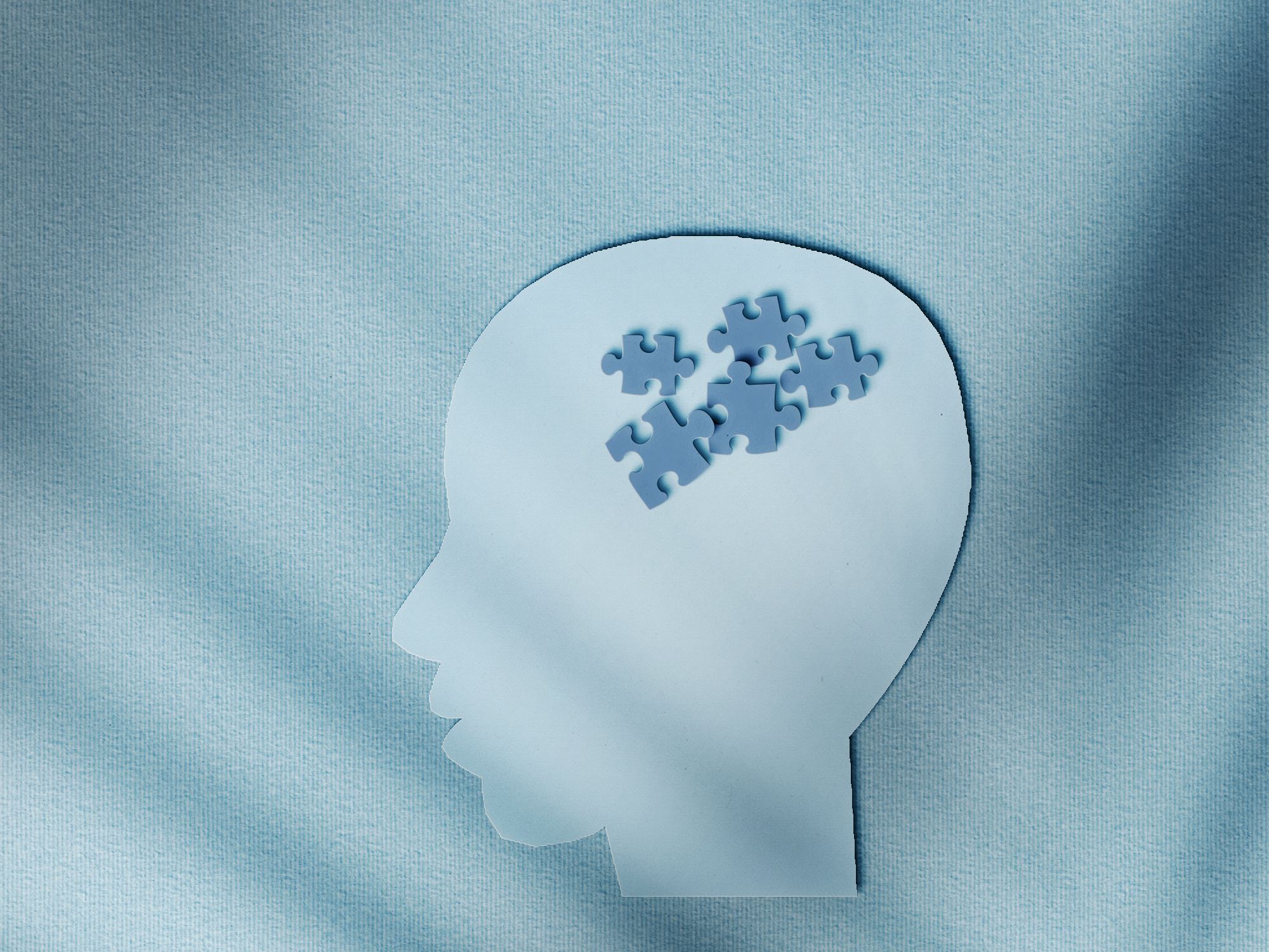 Puzzle-in-brain